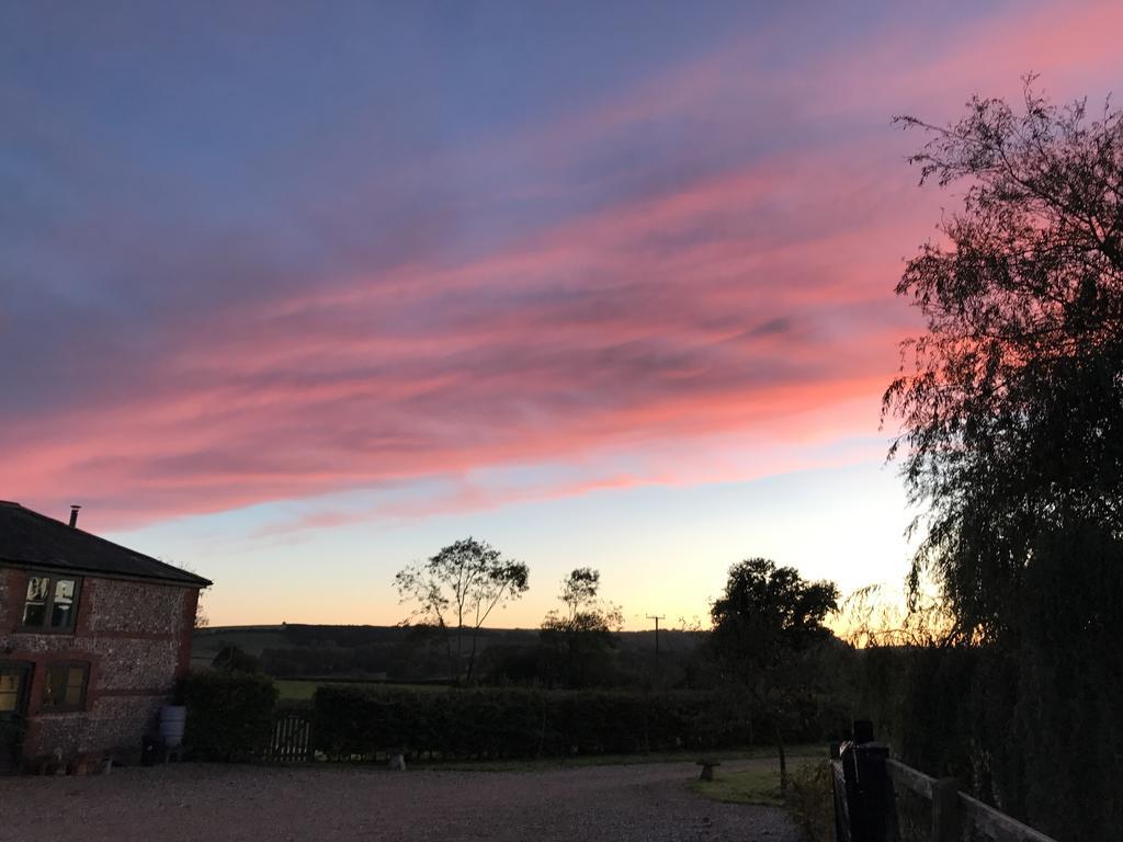Pleck Barn B&B Ansty  ภายนอก รูปภาพ